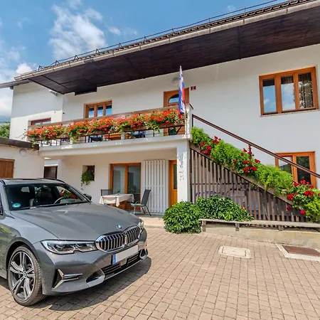 Wojcicky ボヴェツ