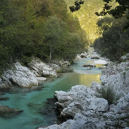 Wojcicky Bovec