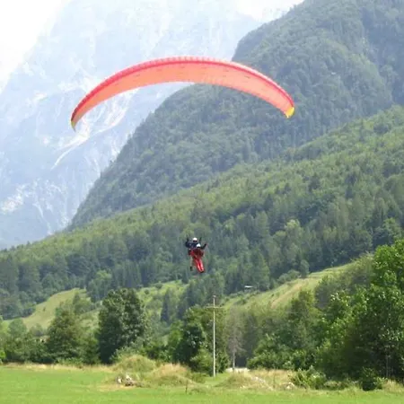 Daire Wojcicky Bovec