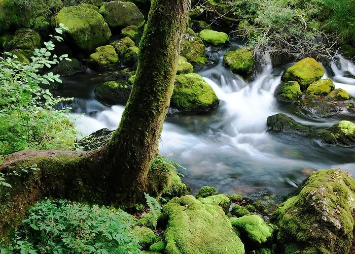 דירה Wojcicky בובק